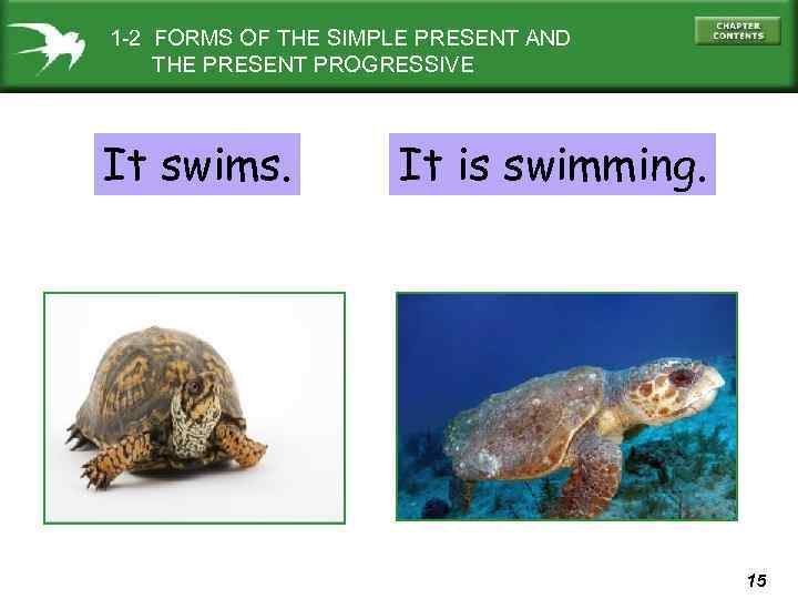 1 -2 FORMS OF THE SIMPLE PRESENT AND THE PRESENT PROGRESSIVE It swims. It