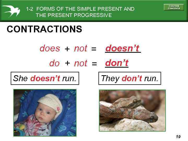1 -2 FORMS OF THE SIMPLE PRESENT AND THE PRESENT PROGRESSIVE CONTRACTIONS does +