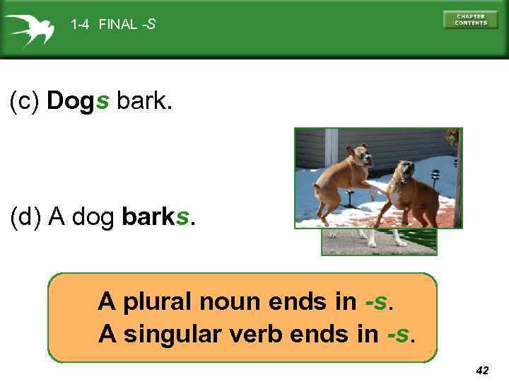 1 -4 FINAL -S (c) Dogs bark. (d) A dog barks. A plural noun