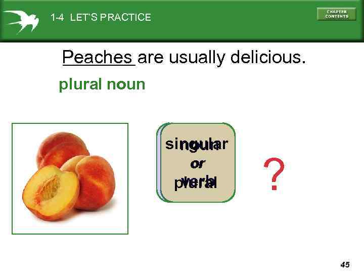 1 -4 LET’S PRACTICE Peaches are usually delicious. plural noun singular noun or or