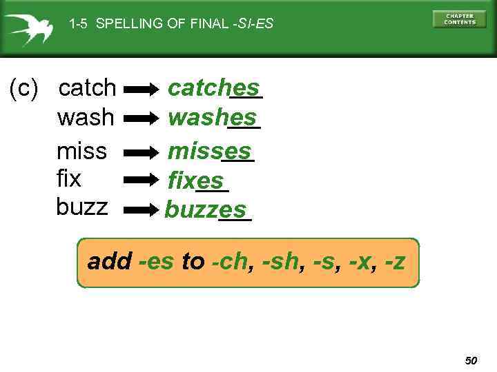 1 -5 SPELLING OF FINAL -SI-ES (c) catch wash miss fix buzz catches washes