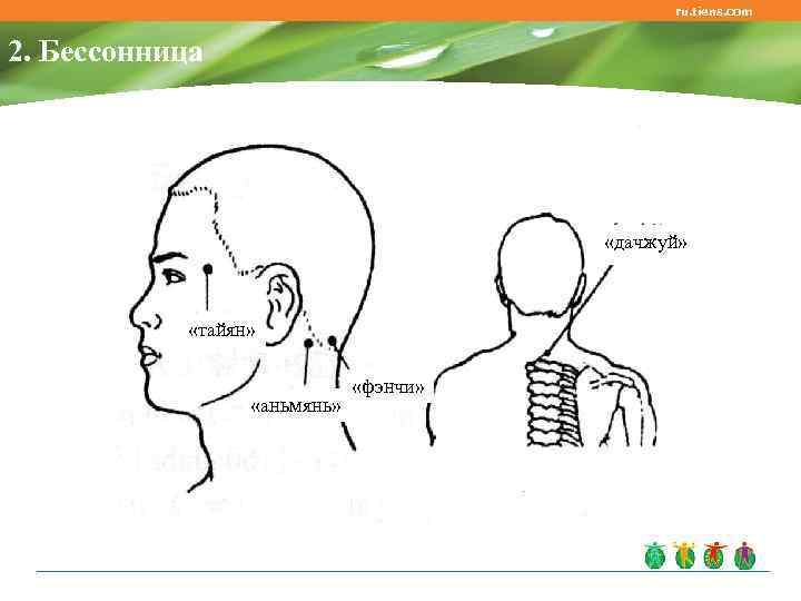 ru. tiens. com 2. Бессонница «дачжуй» «тайян» «аньмянь» «фэнчи» 