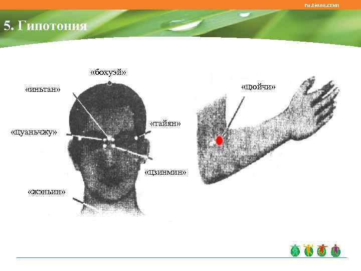 ru. tiens. com 5. Гипотония «бохуэй» «цюйчи» «иньтан» «цуаньчжу» «тайян» «цзинмин» «жэньин» 