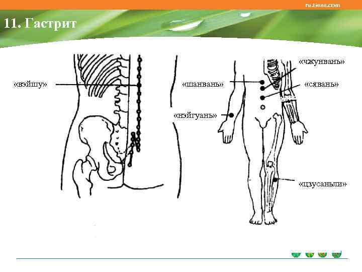 ru. tiens. com 11. Гастрит «чжунвань» «вэйшу» «шанвань» «сявань» «нэйгуань» «цзусаньли» 