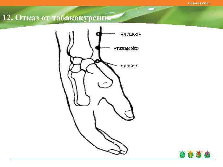 ru. tiens. com 12. Отказ от табакокурения «лецюэ» «тяньмэй» «янси» 