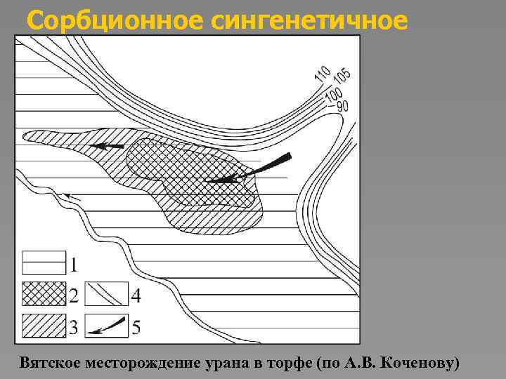 Сорбционное сингенетичное Вятское месторождение урана в торфе (по А. В. Коченову) 