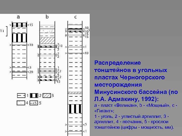 Распределение тонштейнов в угольных пластах Черногорского месторождения Минусинского бассейна (по Л. А. Адмакину, 1992):