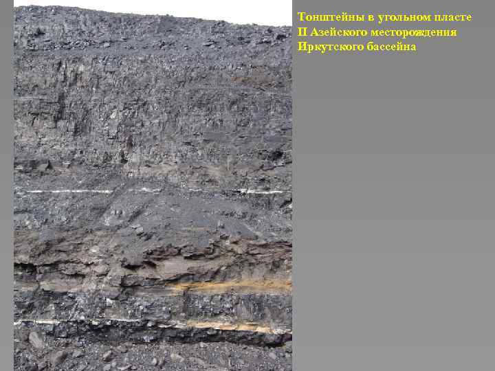 Тонштейны в угольном пласте II Азейского месторождения Иркутского бассейна 