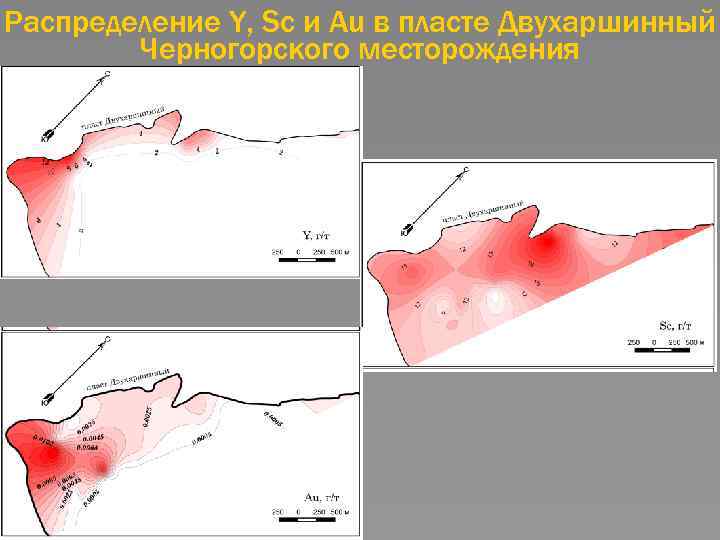 Распределение Y, Sc и Au в пласте Двухаршинный Черногорского месторождения 