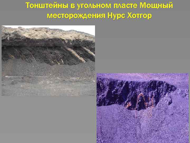 Тонштейны в угольном пласте Мощный месторождения Нурс Хотгор 