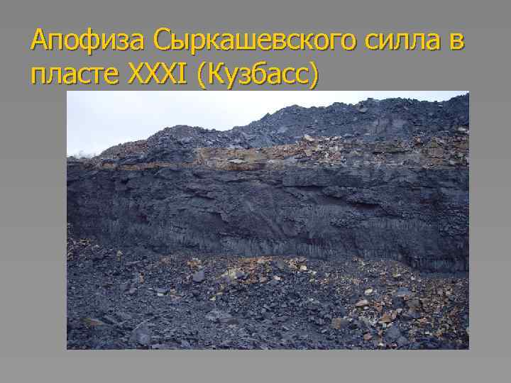 Апофиза Сыркашевского силла в пласте XXXI (Кузбасс) 