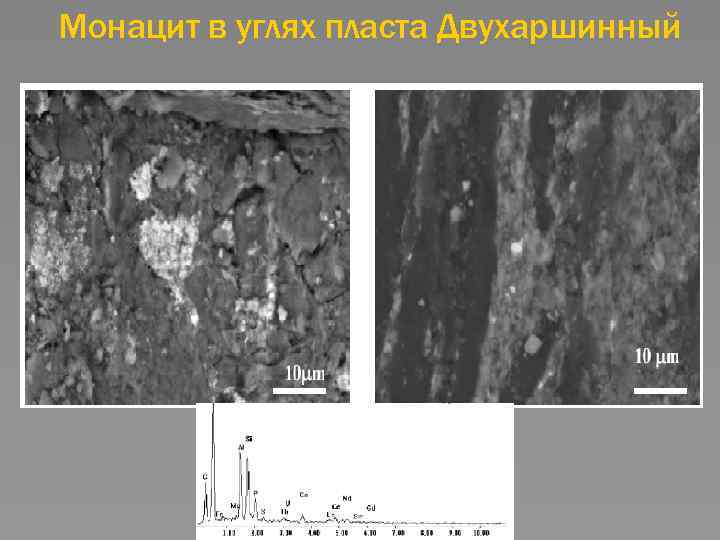Монацит в углях пласта Двухаршинный 