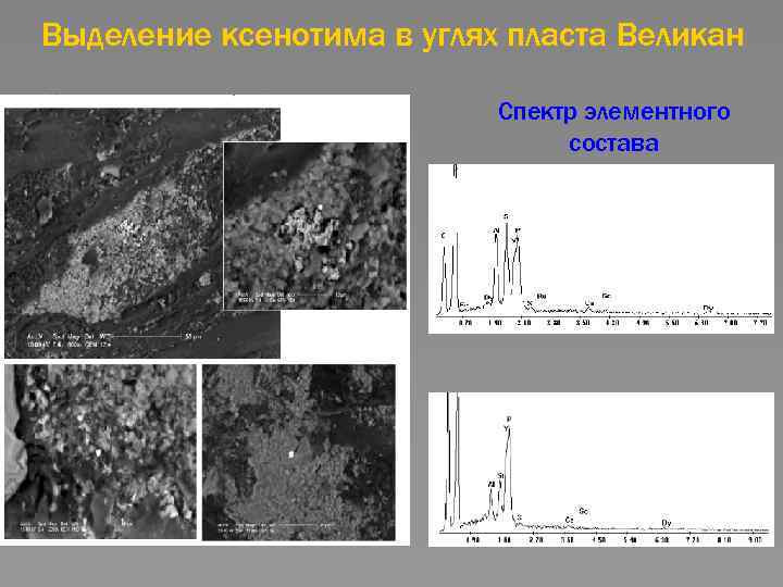 Выделение ксенотима в углях пласта Великан Спектр элементного состава 