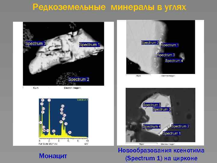 Редкоземельные минералы в углях Монацит Новообразования ксенотима (Spectrum 1) на цирконе 
