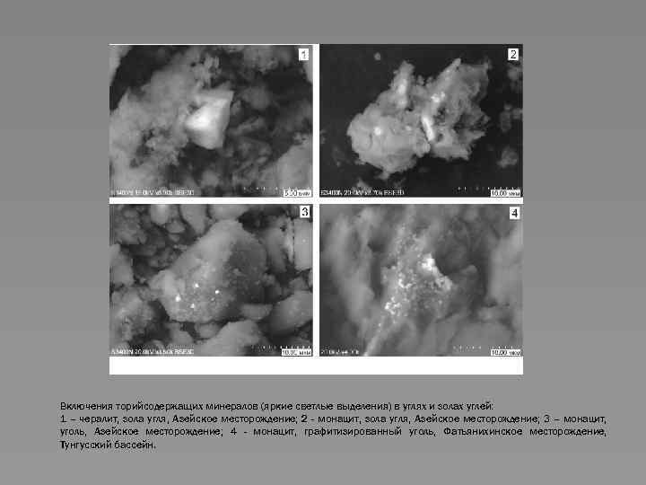 Включения торийсодержащих минералов (яркие светлые выделения) в углях и золах углей: 1 – чералит,