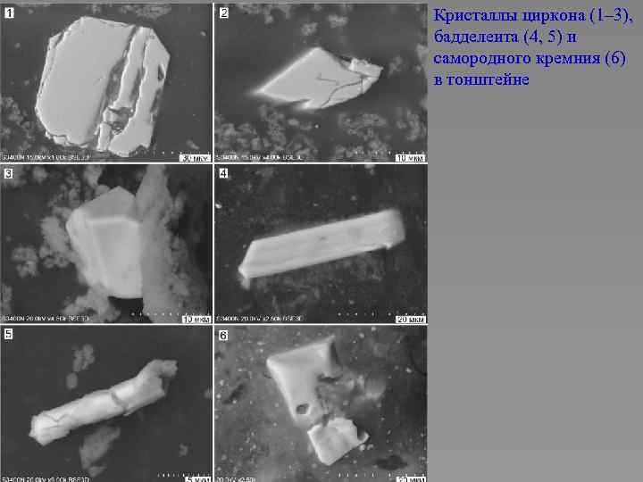 Кристаллы циркона (1– 3), бадделеита (4, 5) и самородного кремния (6) в тонштейне 