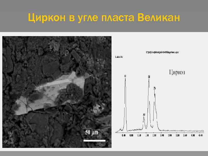 Циркон в угле пласта Великан 