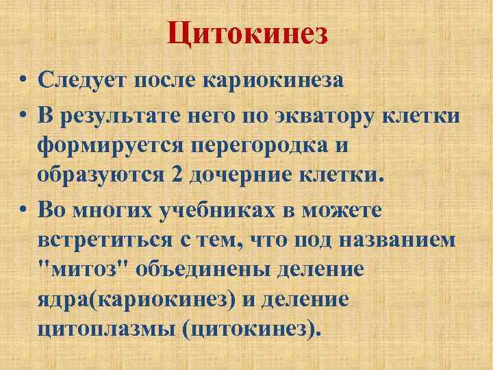 Цитокинез • Следует после кариокинеза • В результате него по экватору клетки формируется перегородка