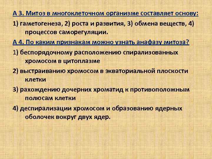 А 3. Митоз в многоклеточном организме составляет основу: 1) гаметогенеза, 2) роста и развития,