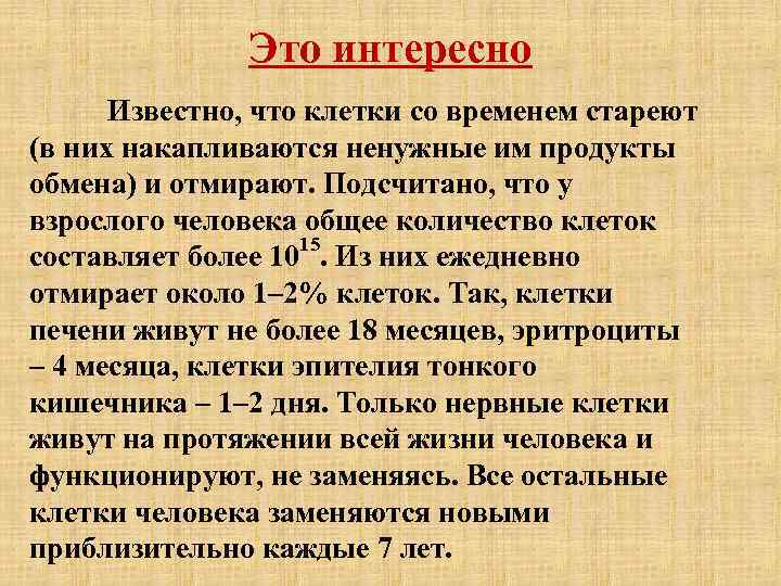 Это интересно Известно, что клетки со временем стареют (в них накапливаются ненужные им продукты