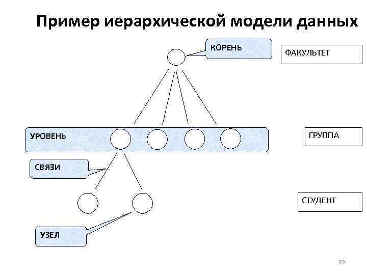 Корневой уровень. Иерархическая модель данных примеры. Модель иерархии эффектов. Иерархия примеры. Пример иерархической базы данных.