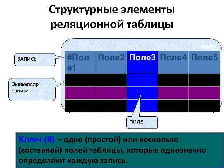 Структурные элементы реляционной таблицы ФАЙЛ ЗАПИСЬ #Пол е 1 Поле 2 Поле 3 Поле