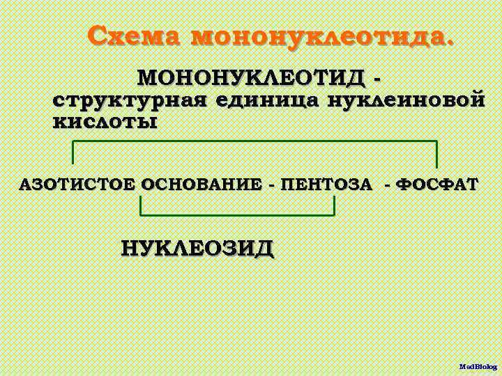Схема мононуклеотида. МОНОНУКЛЕОТИД структурная единица нуклеиновой кислоты АЗОТИСТОЕ ОСНОВАНИЕ - ПЕНТОЗА - ФОСФАТ НУКЛЕОЗИД