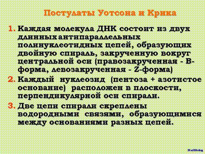 Постулаты Уотсона и Крика 1. Каждая молекула ДНК состоит из двух длинных антипараллельных полинуклеотидных