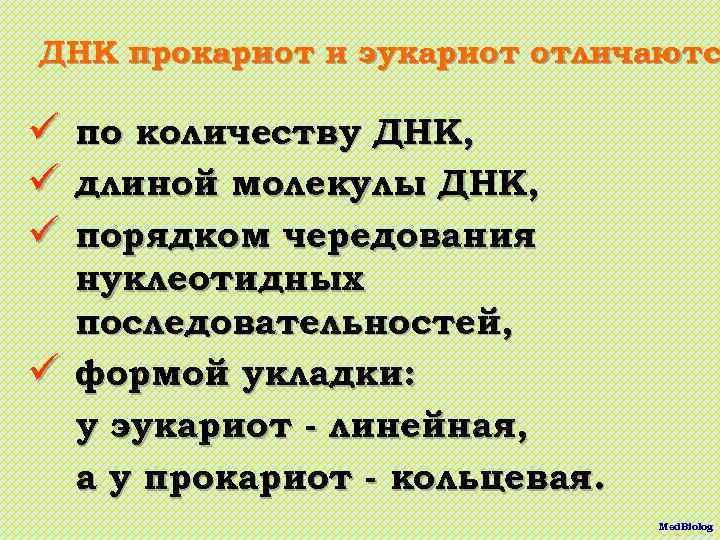 ДНК прокариот и эукариот отличаютс ü ü ü по количеству ДНК, длиной молекулы ДНК,