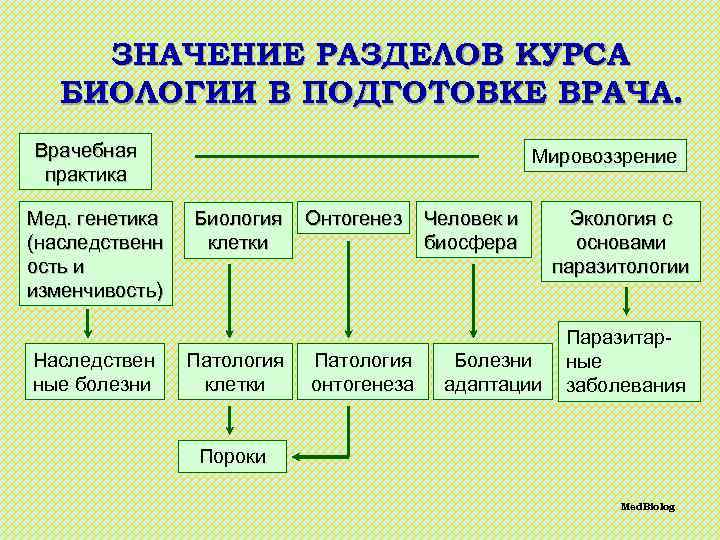 Таблица значение биологии. Место и задачи биологии в подготовке врача. Значение биологии в подготовке врача. Задачи и значение биологии. Задачи биологии в системе подготовки врача.