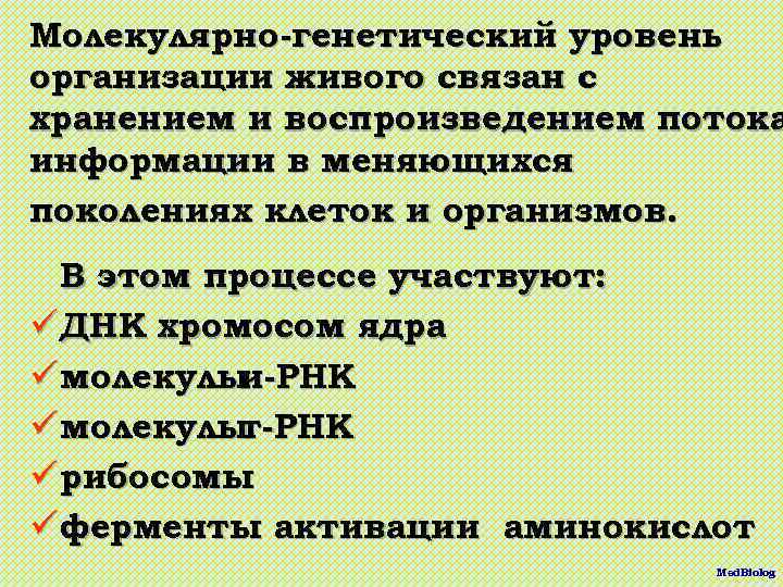 Молекулярно-генетический уровень организации живого связан с хранением и воспроизведением потока информации в меняющихся поколениях
