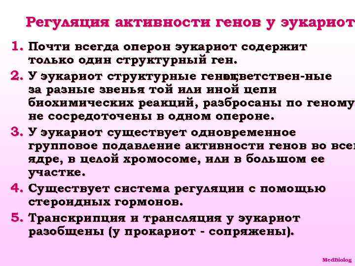 Регуляция активности генов у эукариот 1. Почти всегда оперон эукариот содержит только один структурный