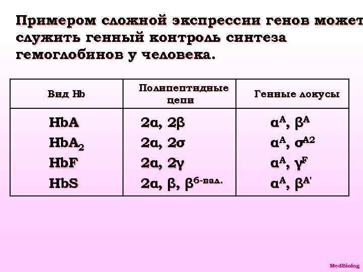 Примером сложной экспрессии генов может служить генный контроль синтеза гемоглобинов у человека. Вид Нb