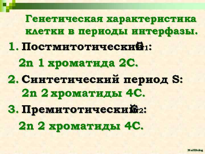 Генетическая характеристика клетки в периоды интерфазы. 1. Постмитотический 1: G 2 n 1 хроматида