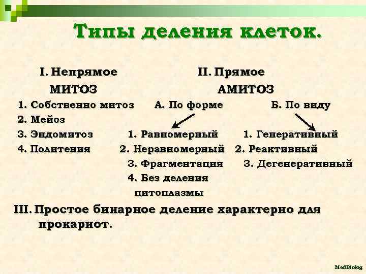 Типы деления клеток. I. Непрямое МИТОЗ II. Прямое АМИТОЗ 1. Собственно митоз А. По