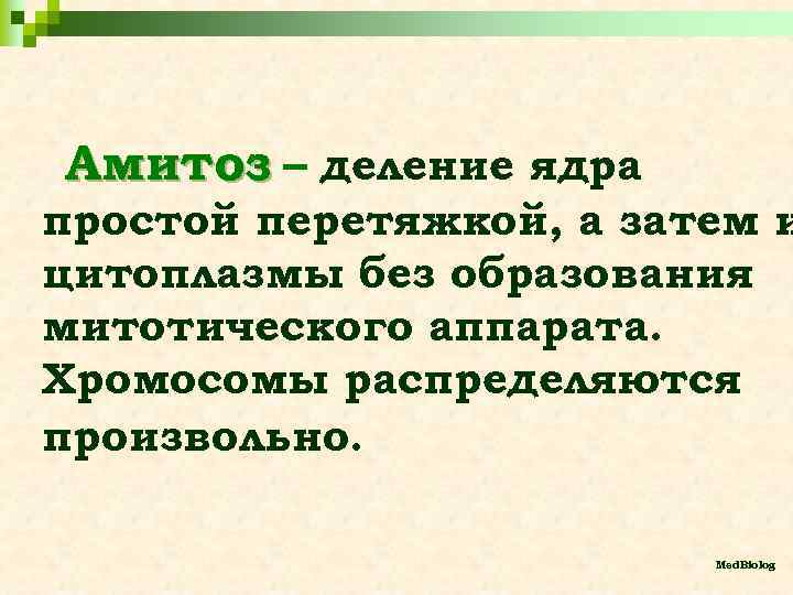 Амитоз – деление ядра простой перетяжкой, а затем и цитоплазмы без образования митотического аппарата.