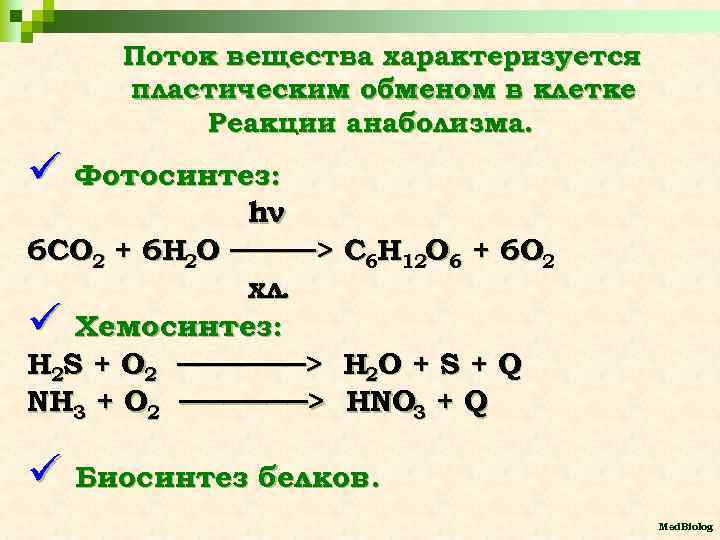 Поток вещества характеризуется пластическим обменом в клетке Реакции анаболизма. ü Фотосинтез: hν 6 СО