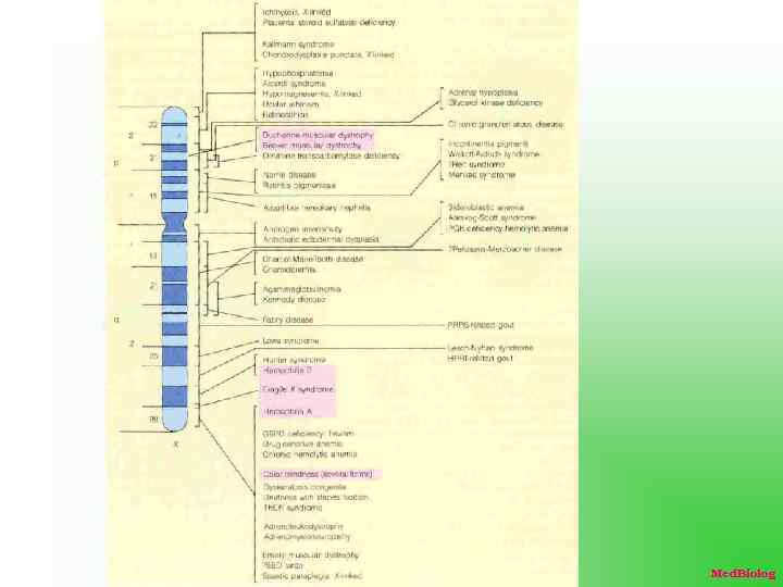 Med. Biolog 