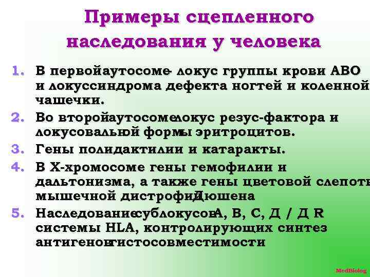 Примеры сцепленного наследования у человека 1. В первой аутосоме локус группы крови АВО и