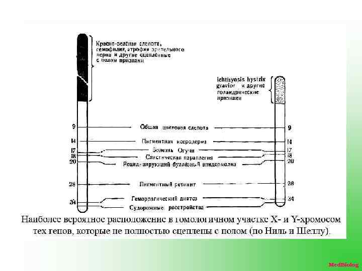 Med. Biolog 