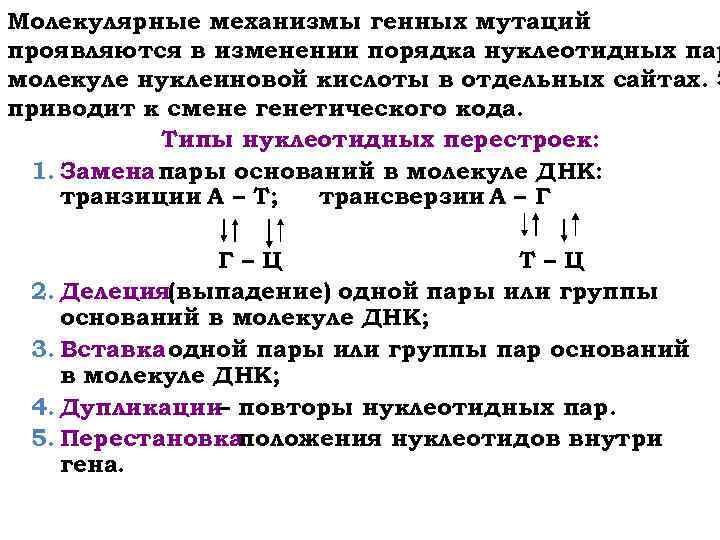 Молекулярные механизмы генных мутаций проявляются в изменении порядка нуклеотидных пар молекуле нуклеиновой кислоты в