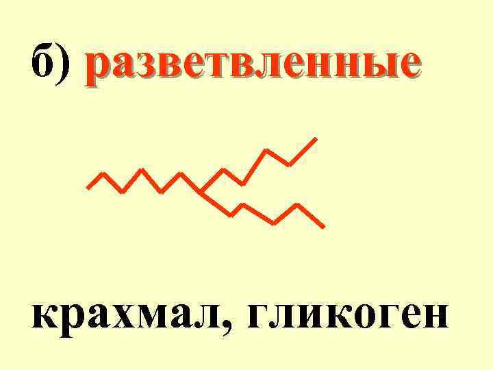 б) разветвленные крахмал, гликоген 