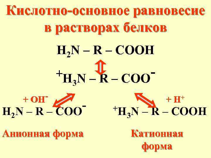 Кислотно-основное равновесие в растворах белков H 2 N – R – COOH +H N