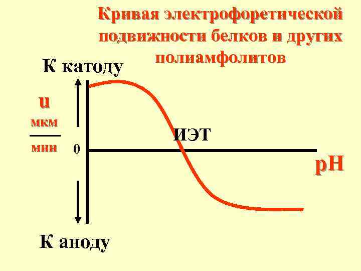 Кривая электрофоретической подвижности белков и других полиамфолитов К катоду u мкм мин 0 К