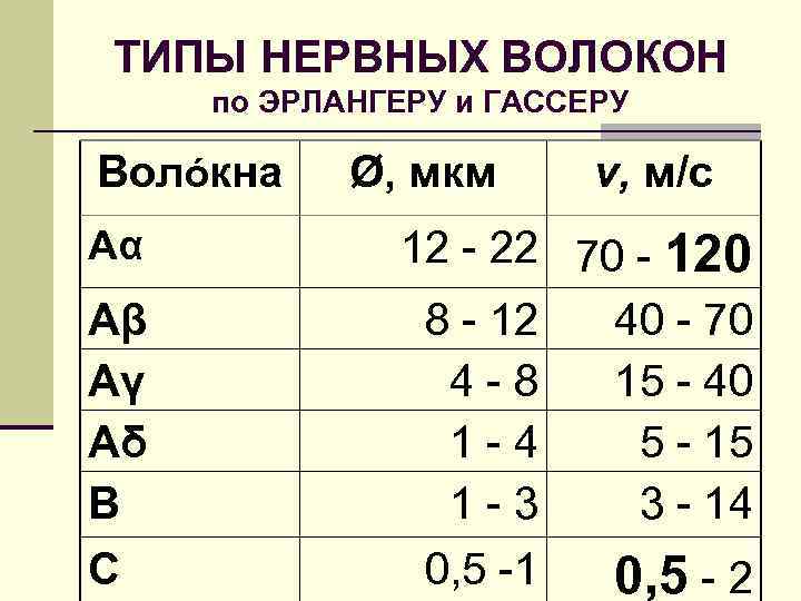 ТИПЫ НЕРВНЫХ ВОЛОКОН по ЭРЛАНГЕРУ и ГАССЕРУ Волóкна Aα Aβ Aγ Aδ B C