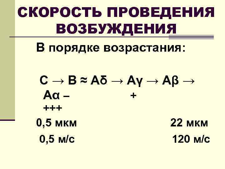 СКОРОСТЬ ПРОВЕДЕНИЯ ВОЗБУЖДЕНИЯ В порядке возрастания: C → B ≈ Aδ → Aγ →