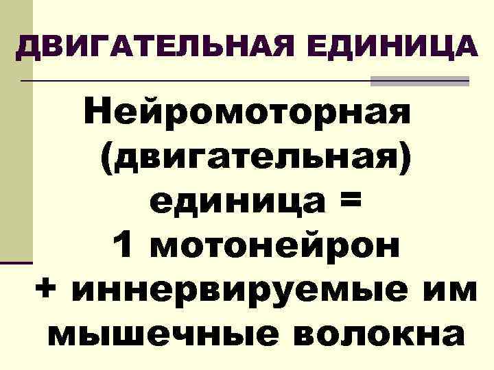 ДВИГАТЕЛЬНАЯ ЕДИНИЦА Нейромоторная (двигательная) единица = 1 мотонейрон + иннервируемые им мышечные волокна 