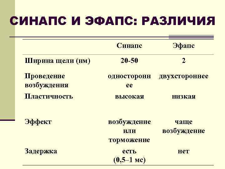 СИНАПС И ЭФАПС: РАЗЛИЧИЯ Синапс Ширина щели (нм) Проведение возбуждения Пластичность Эффект Задержка Эфапс