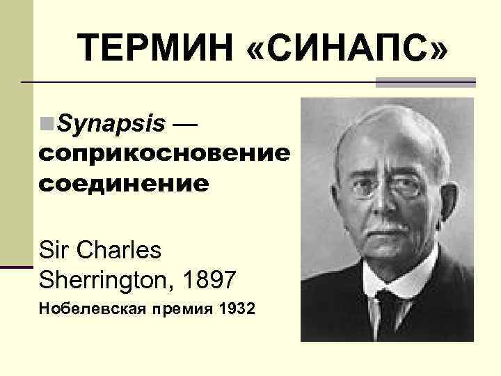 ТЕРМИН «СИНАПС» n. Synapsis — соприкосновение соединение Sir Charles Sherrington, 1897 Нобелевская премия 1932