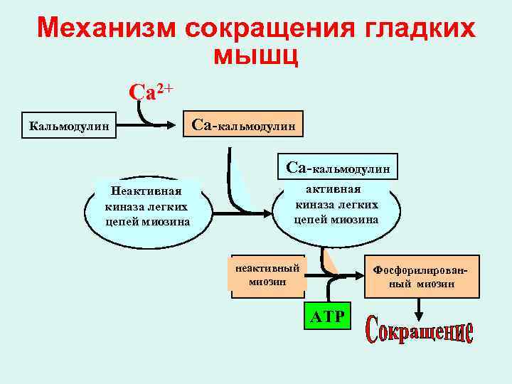 Механизм снижения